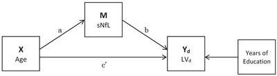 Does serum neurofilament light help predict accelerated cognitive ageing in unimpaired older adults?